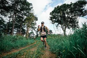 BIB: 
                            <button type="button" onclick="openModal(26034097)" class="btn btn-primary btn-sm float-right btn-popup" data-toggle="modal" data-target=".modal-high-quality">
                        <i class="fas fa-shopping-cart"></i> Add to Cart
                    </button>
                                            <button type="button" onclick="isThisMe(26034097, true)" class="btn btn-success btn-sm float-right btn-popup btn-isme hidden" data-toggle="tooltip" data-placement="bottom" title="นี่คือรูปของคุณใช่ไหม คลิกที่นี่เพื่อเอาเข้าอัลบั้ม">
                        <i class="fas fa-plus"></i> Add to album
                    </button>
                    <button type="button" onclick="isThisMe(26034097, false)" class="btn btn-warning btn-sm float-right btn-popup btn-isnotme hidden">
                        <i class="fas fa-ban"></i> Remove from album
                    </button>